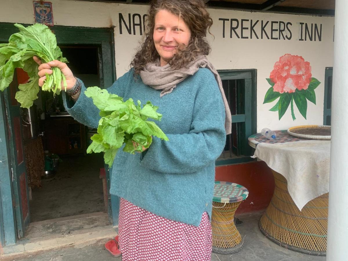 Nagarkot Trekkers Inn エクステリア 写真